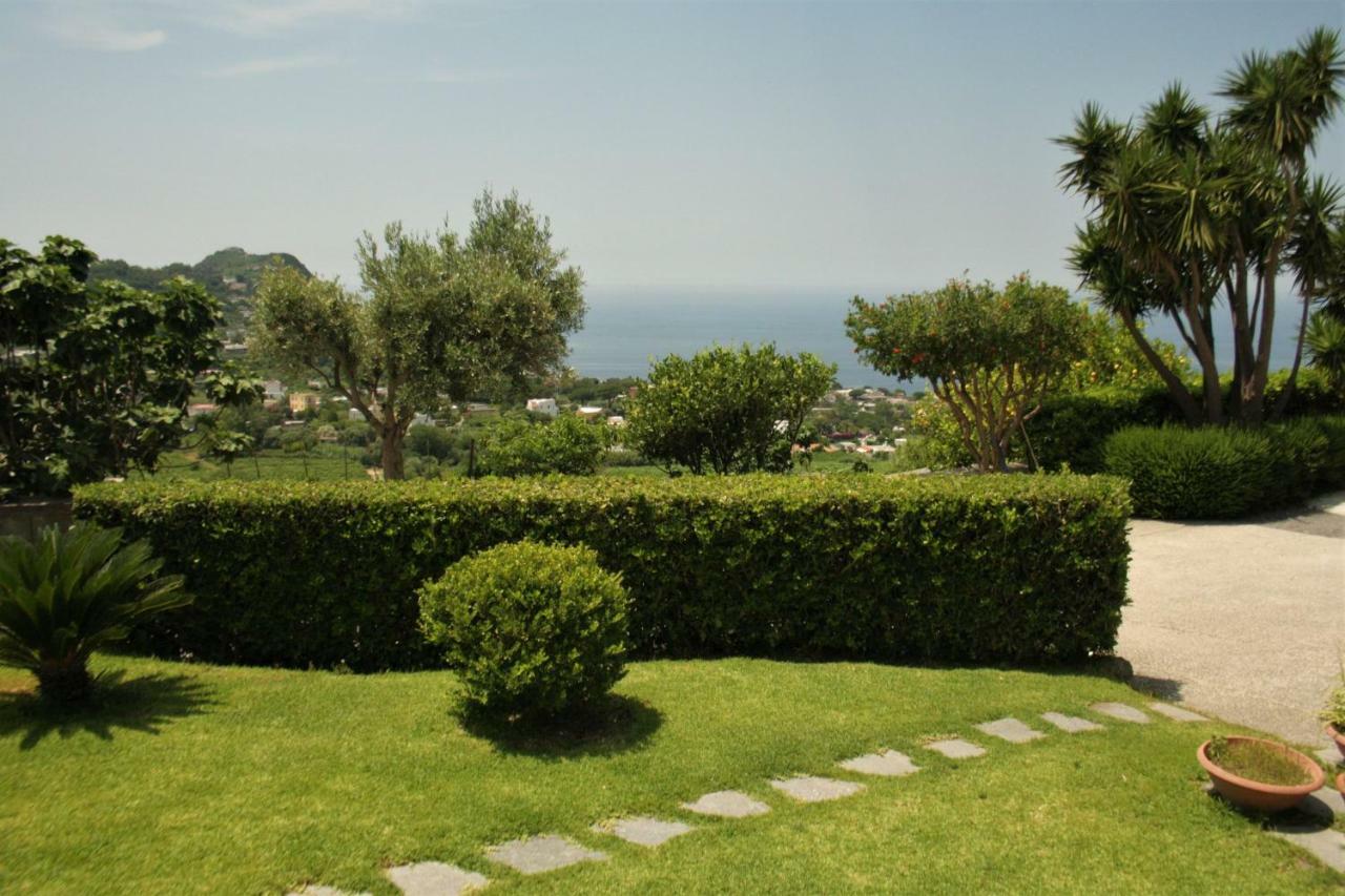 Appartamento Casa Ischitana Forio di Ischia Esterno foto